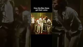 How the Bee Gees got their voice.