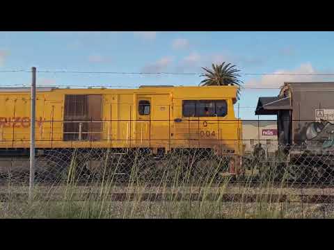 CBH & Aurizon Triple Diesel Locomotive Freight Train #trainspotting #trainspotter #freighttrain