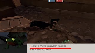 TF2 Update: They Added Crows To Lumberyard! (And Bonus Frog Found On Erebus)