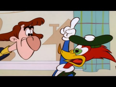 Capa de Pica-Pau | Uma vizinha muito complicada | Desenhos Animados em Português