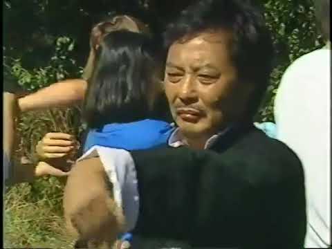 Wong shun leung chum kiu form