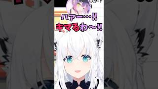 愛猫を吸う時のトワ様の勢いがすごすぎておもわず笑ってしまったフブちゃん #shorts #ホロライブ #切り抜き #vtuber #ホロ切り抜き #白上フブキ #常闇トワ