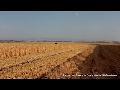 Festa de Shavuot - Nos Passos de Rute a Moabita