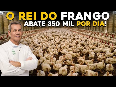 , title : 'MAIOR GRANJA DO BRASIL - ELE COMEÇOU DO ZERO E HOJE TEM MILHÕES DE GALINHAS!'