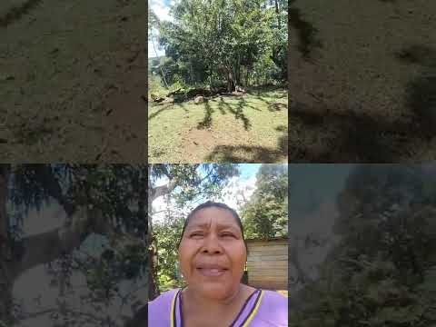Testimonio sobre avance minero en Comarca Ngäbe Buglé