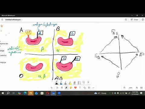 Rezolvare problema sange BAC XI-XII