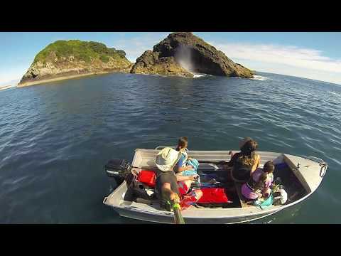 Diving and adventuring in the Far North!