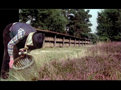 Traditionelle Korbimkerei - Die Arbeiten des Heideimkers im Jahresverlauf