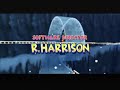 Diddy Kong Racing End Credits II