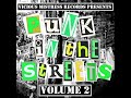 Punk In The Streets VOL 2 Vicious Mistress Records 2014 Full Compilation