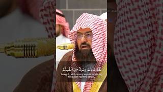 Download lagu Surah At-Taubah ayat 128-129 by Sheikh Abdurrahman As-Sudais #quran #shorts #shortvideo #viral mp3