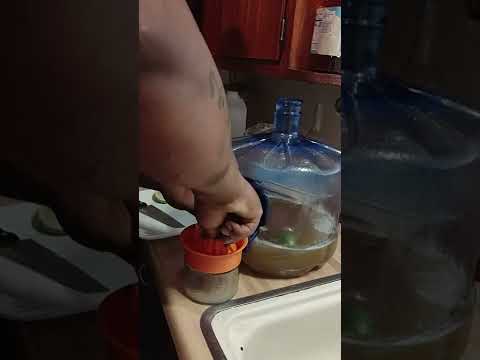 Dragon's Blood Mead how to recipe