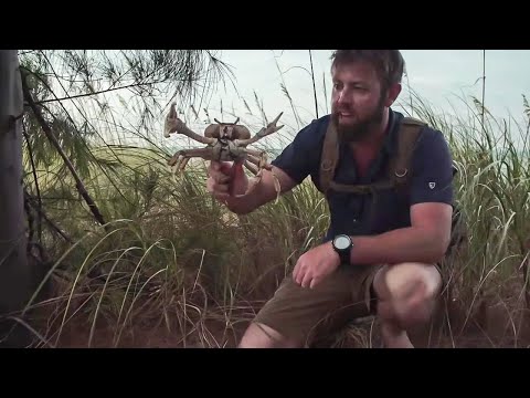 Catch and Cook Blue Land Crab (On a Remote Tropical Island)