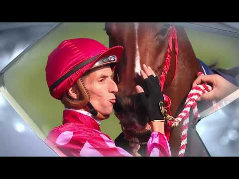 [Racing To Win] 17/18 #45 Happy Valley - Turf A Course meeting on 7 Feb (Race 1)