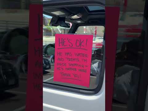 aww such a good boy! 😂