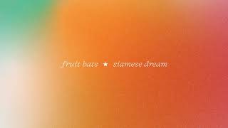 Fruit Bats - Today (Official Audio)