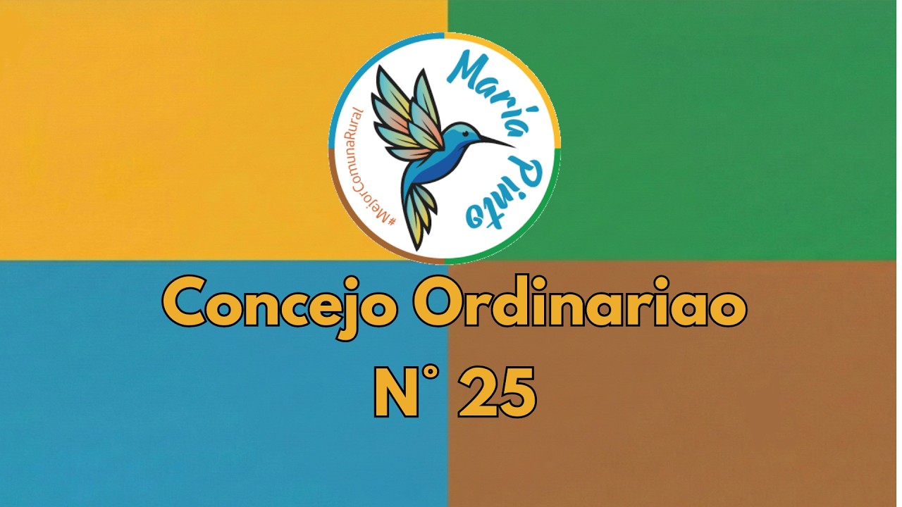 CONCEJO ORDINARIO SESION N° 25 28/05/2026