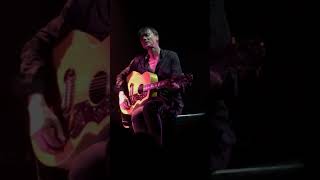 Suede Daddy’s Speeding Acoustic Live @ Leeds 24.04.19