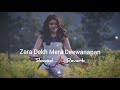 Zara Dekh Mera Deewanapan | Slowed & Reverb | Footpath | Udit Narayan, Alka Yagnik | JB Khan Editzz