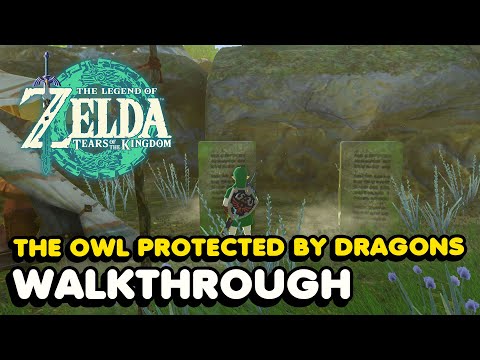 "The Owl Protected By Dragons" Guide - Zelda Tears of The Kingdom (Investigate The Thyphlo Ruins)