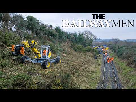 Grab, grapple excavator, digger - Image 2