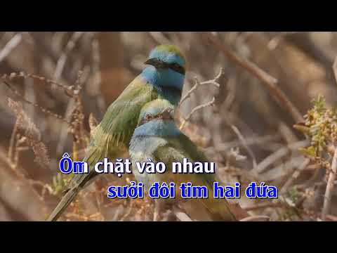 Nắng cuối chiều - Châu Trương Lưu