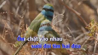 Nắng cuối chiều