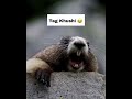 Tag Khushi Khushi Name Funny Shortsfeed Shorts Comedy Youtubeshorts Sajidjk11 Motivation