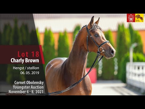 Youngster Auktion Lot 18 Charly Brown Hengst v. Cornet Obolensky - Caspar (Eurocommerce Berlin)