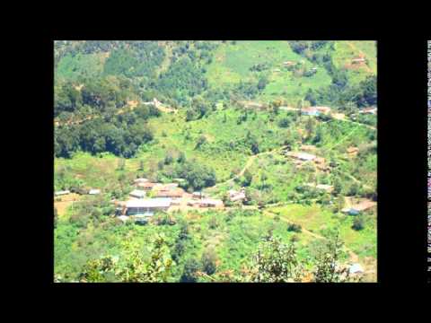 La Banda de viento de Union de las peras