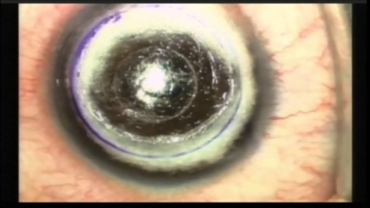 Jorge Luis Domene Hinojosa-11