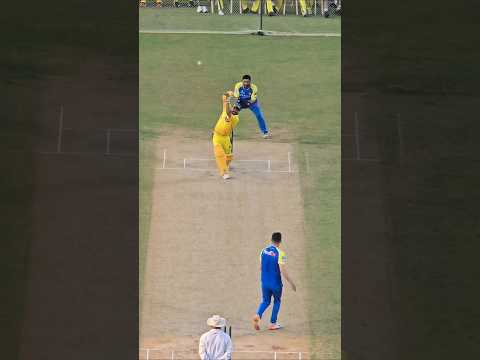 Reel tagged #cricket