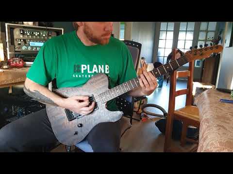 Feed The Cat - The way to believe - Guitar Playthrough (Real)