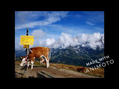 Salzburg Almenweg 2021 - Timelapse