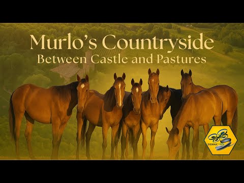 Murlo’s Countryside: Between Castles and Pastures