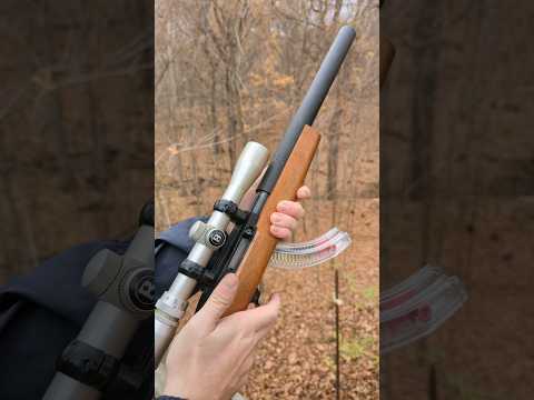 Integrally Suppressed Ruger 10/22