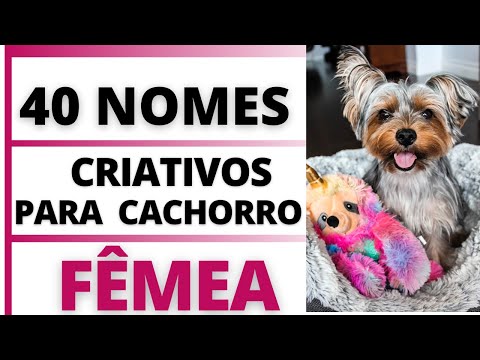 NOMES CRIATIVOS PARA CACHORRO FÊMEA🐶😍💟