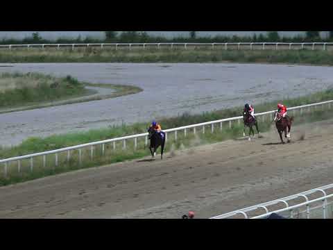 13.06.2021 - Trka VARVARINSKA BITKA - Hiodrom Beograd