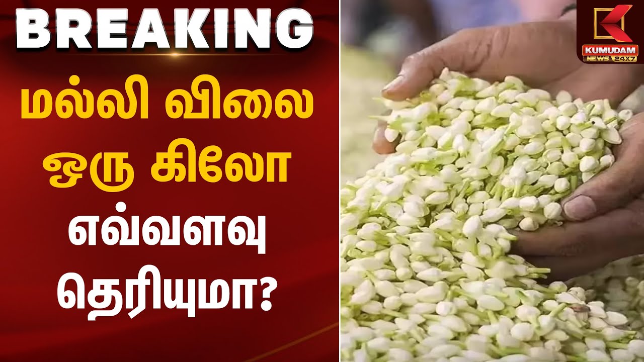 Jasmine Flower Price | மல்லி விலை ஒரு கிலோ எவ்வளவு தெரியுமா? | Kumudam News
