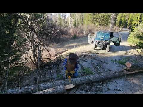 Clearing Windfall Cover