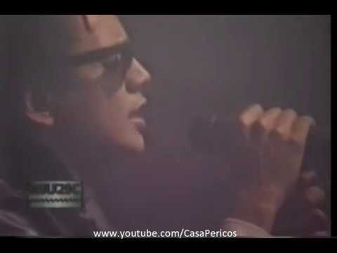 Pericos - Estadio Obras Sanitarias (10/9/1988) Resumen