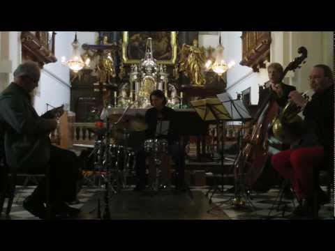 Jean-Christophe Mastnak @ V:NM Festival 8.4.2011 Part 1/2