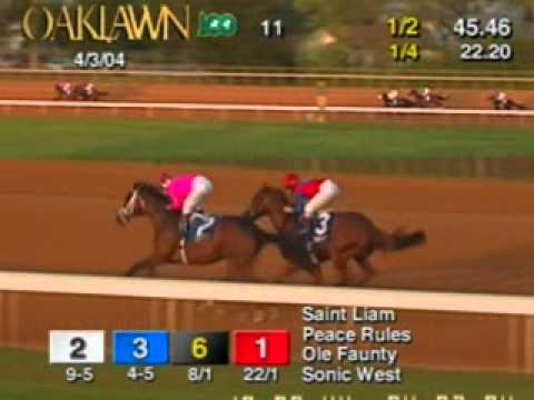 2004 Oaklawn Park Handicap - Peace Rules