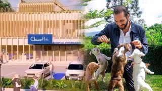 Así es el primer hospital para mascotas de El Salvador