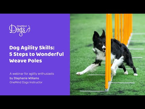 FREE Webinar: Dog Agility Skills - 5 steps to wonderful weaves