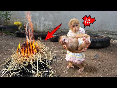 Lucky’s unexpected reaction when he sees Sunny lying in a dangerous place!