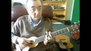 Video thumbnail for Washburn Rover review by John Coupland