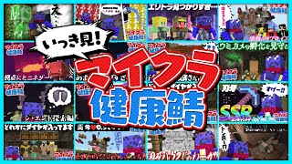 【いっき見!】マイクラを隅々まで堪能しまくった健康鯖まとめ【#らっだぁ切り抜き】