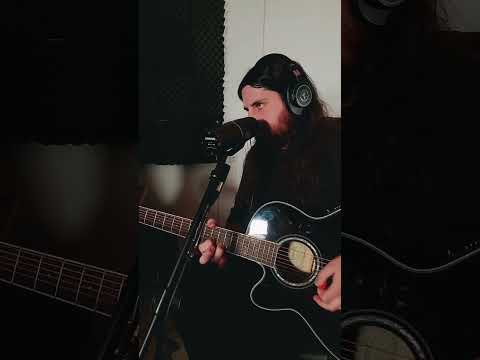 Distractions Of Living Alone - Woods Of Ypres