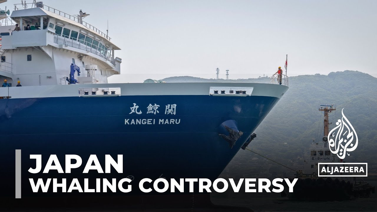 Japan launches first whaling ship in 70 years